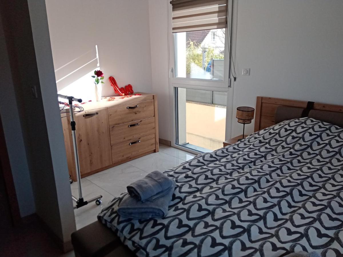 Jolie Maison, Balneo Lumino Therapie Et Terrasse Colmar Dış mekan fotoğraf
